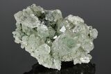 Anatase Crystals on Quartz with Chlorite Inclusions/Phantoms #176820-3